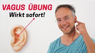 VAGUSNERV MASSAGE - Stress und Unruhe SOFORT auflösen!