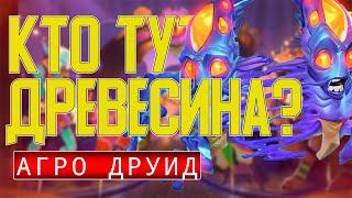 БЕСКОНЕЧНОЕ ДРЕВО / АГРЕССИВНЫЙ СЕРОКРОН ДРУИД / Hearthstone / Ярмарка Безумия