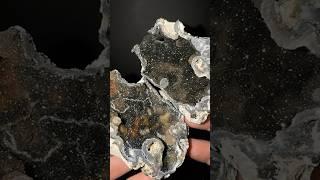 Most Magical Coral Geodes of 2024 🪸 #crystals