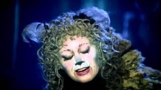 Cats At The London Palladium   HD Trailer