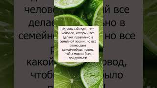 Идеальный муж #позитив#юмор#шутки#прикол#memes