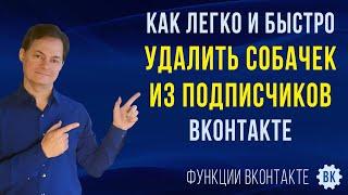 Как удалить собачек из подписчиков ВКонтакте и очистить список подписчиков в ВК от мертвых страниц