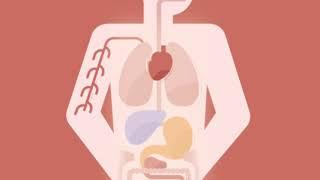 Autophagy Explained | What is #Autophagy and How is it a Benefit from Intermittent Fasting?