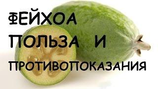 Фейхоа. Полезные свойства и противопоказания.