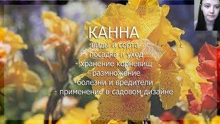 Вебинар "Канна"