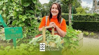 Introducing Hull's Community Garden | Hull City Council