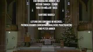 Weihnachtsoratorium im Gottesdienst (WO II), 27.12.2020, Stadtkirche Nagold, Pfr. Hauber