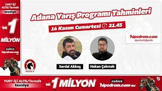 17 Kasım 2024 // Adana At Yarışı Tahminleri // Hakan Çakmak - Serdal Akkuş