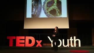 Growing Up Multicultural | Nika Sabzevari | TEDxYouth@ISHamburg