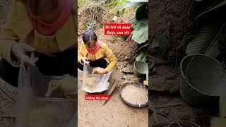 Chắng thị súng đi chợ đi chợ mua vịt #4k #lythicoi #300 #lythily