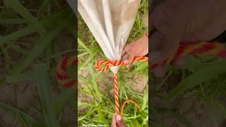 Tarp Corner knots: Survival & Camping 