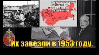 Их завезли в 1953 году. Вячеслав Котляров.