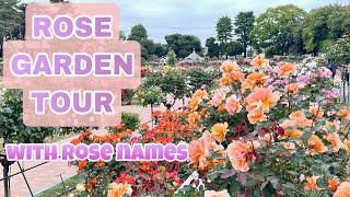 ROSE GARDEN TOUR | with ROSE NAMES