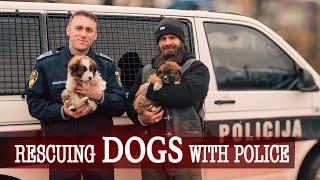 Rescuing Puppies with Police Help - Save the Dogs BiH