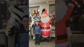 The Tiger's Touch #tiger #touch #youtube #youtubeshorts #shortvideo #shorts #short #youtube #yt