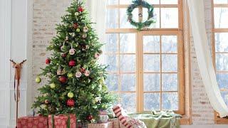 How to get rid of your old Christmas tree for free