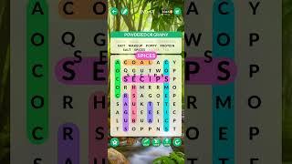 Wordscapes Search | Level 67