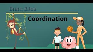 Brain Bites - Coordination