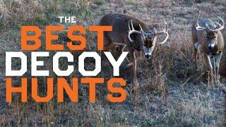 Giant Bucks LOCKED IN On Decoys | Giant Buck Destroy Decoy | 30 Minutes of Monster Buck Hunts