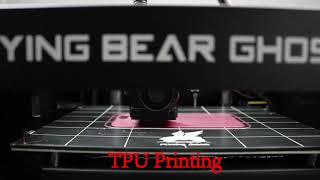 Flyingbear Ghost 5 3D Printer TPU Printing Video