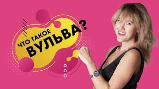 Что такое вульва? 18+