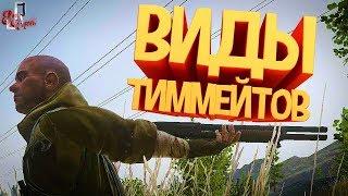 Виды тиммейтов ( Escape from tarkov / CoD MW )