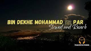 Bin Dekhe MOHAmMAD ﷺ Par [Slowed and Reverb]