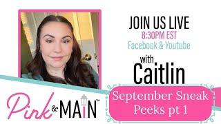 September Sneak Peek pt 1 with Caitlin - Seasonal Bouquets