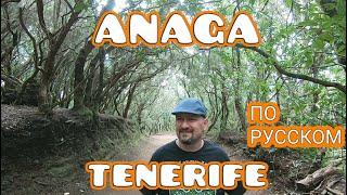 Сельский парк Анага Тенерифе НА РУССКОМ Serbian OnTheRoad #anaga #anagaruralpark #tenerife #Испания