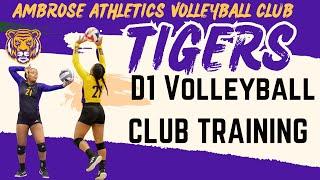 Angel Ambrose | Setter 16U AMBROSE ATHLETICS VOLLEYBALL CLUB