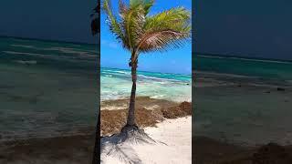 Barcelo Maya ￼