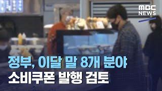 정부, 이달 말 8개 분야 소비쿠폰 발행 검토 (2020.10.18/12MBC뉴스)