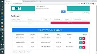 How to create Laravel Vue API Crud with full Source code