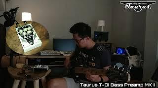 Ronald Steven Taurus Bass Preamp MK2 Test & Short Testimonials