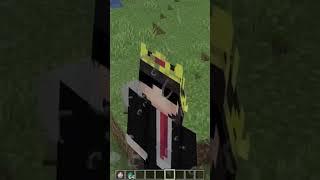 I Tried Banned Minecraft Mods #minecraft #senpaispider #shorts