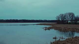 Cloudy Skies November 23 2024 7:23AM HD Short Version #drone #autumn #relaxing #asmr