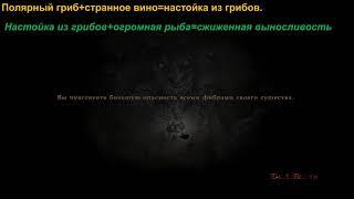 Dragons Dogma "сжиженная выносливость" (своими руками).