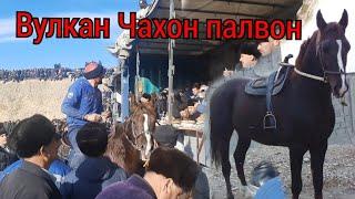 УЛОКИ ЁРИ АСПИ АБДУНАБИ БО НОМИ ВУЛКАН МАРАКАРД 02 01 23