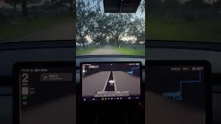 Tesla Sees Ghosts at Cemetery #ghost #tesla #paranormal #scary #fsd #automobile #cars #car #luxury