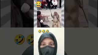 Fun always fun time#funny #comedy #shorts feed #monkey #fun #funny pictures #monkey #funny videos