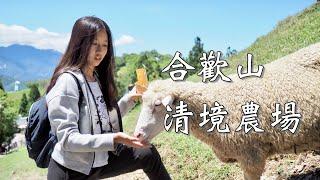 輕旅行 ｜ 合歡山 - 清境農場 ｜ 意外發現去年的影片。姊姊嘗試自己攝影 自己剪片 ｜ 2020-05-15~17