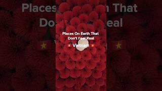 The Most Beautiful Places In Vietnam  #destination #travel #nature #shorts #explore