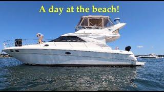 Cruise Fun! - A day at the beach! We cruise our Sea Ray boat to Basett island on Buzzards Bay