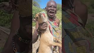at 92 years old Hadzabe elder Successfully Hunt his Favourite food #tradition #bushcraft