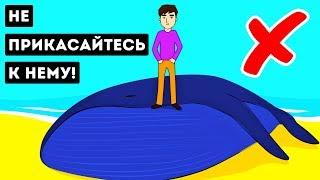 Почему Мертвые Киты Настолько Опасны?