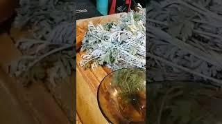 Как я храню рамки с мёдом и без мёда до весны хранение рамок с сушью без моли. 