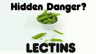 The Truth About Lectins - Hidden Dietary Killer?