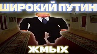 Широкий Путин жмых (content aware scale)