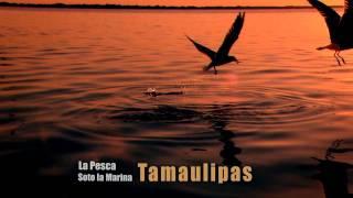 TAMAULIPAS 3 HD STARS OF THE BICENTENNIAL