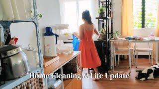 Home Cleaning & Quick Life Update | Housewife Small Business and Simple Living